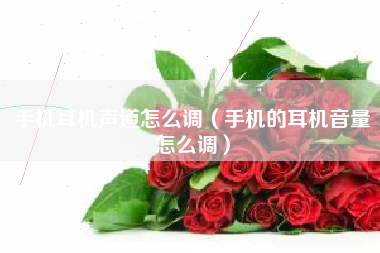 手机耳机声道怎么调（手机的耳机音量怎么调）