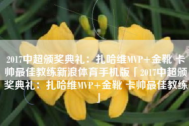 2017中超颁奖典礼：扎哈维MVP+金靴 卡帅最佳教练新浪体育手机版「2017中超颁奖典礼：扎哈维MVP+金靴 卡帅最佳教练」