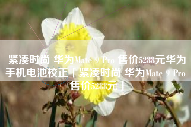 紧凑时尚 华为Mate 9 Pro 售价5288元华为手机电池校正「紧凑时尚 华为Mate 9 Pro 售价5288元」 紧凑时尚 华为Mate 9 Pro 售价5288元华为手机电池校正「紧凑时尚 华为Mate 9 Pro 售价5288元」