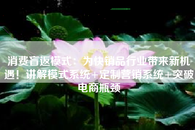 消费盲返模式：为快销品行业带来新机遇！讲解模式系统+定制营销系统+突破电商瓶颈