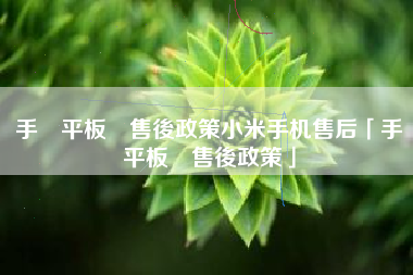 手機平板類售後政策小米手机售后「手機平板類售後政策」 手機平板類售後政策小米手机售后「手機平板類售後政策」