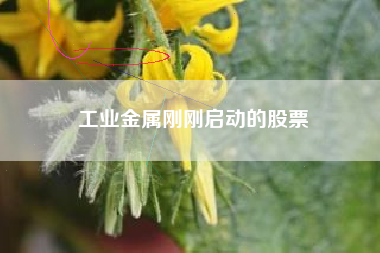 工业金属刚刚启动的股票